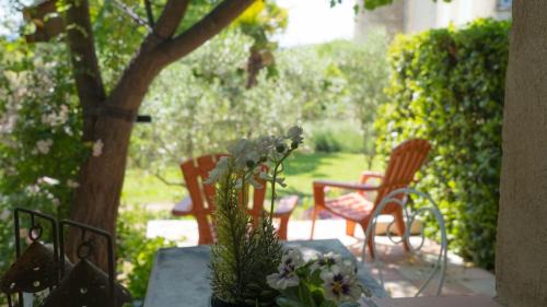 Saint-Laurent-du-Verdon Bed & Breakfast | La Colombiere du Château