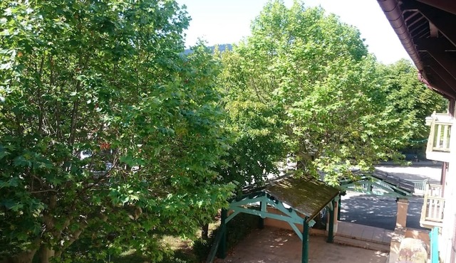 THE MOUNTAIN, THAT YOU WIN! F2 DUPLEX, 4 people, 37 m², in THORENC/ANDON (06). in Andon
