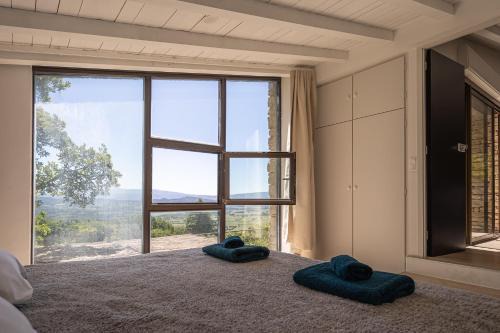 Contemporary home with a view