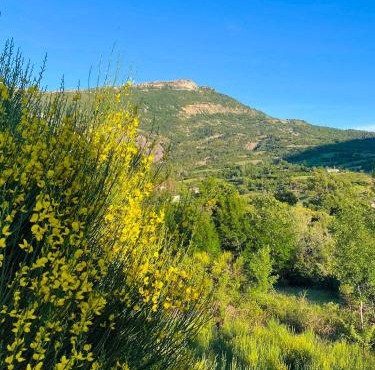 Les Grands Prés des Baronnies