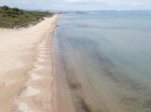 Le Domaine de la mer - Appartements de plage dans un cadre enchanteur